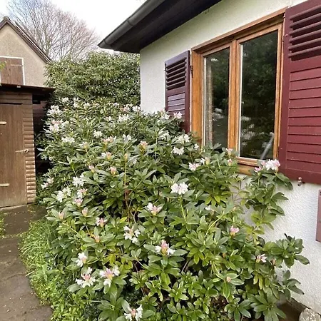 With 1 Bedroom * Barum (Uelzen)